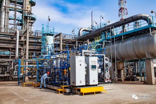 中國(guó)石化生產(chǎn)出 五九 高純氫氣 首次將煉廠氫氣提純至99.999